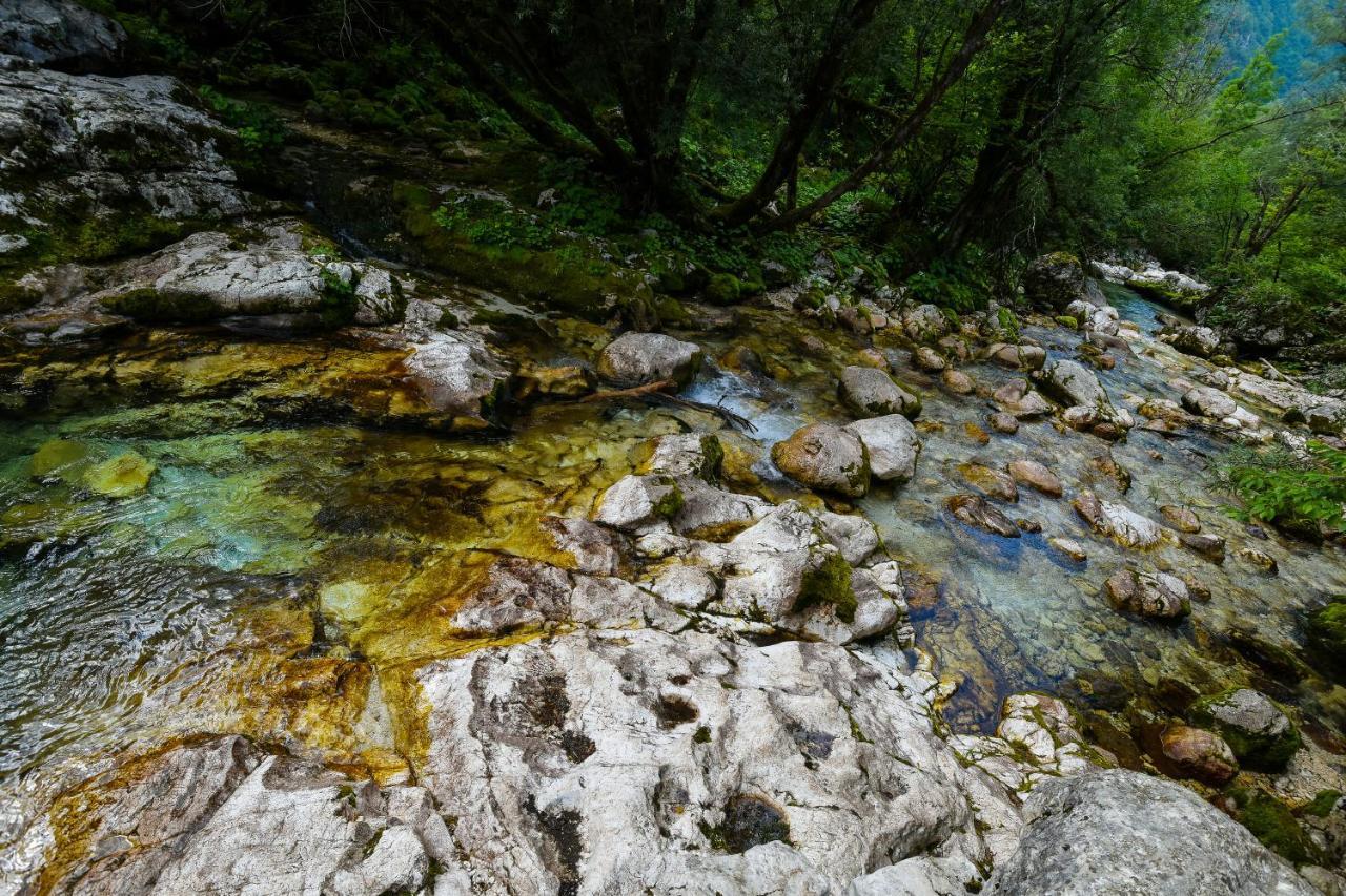 Julian Village Lepena Soča Kültér fotó